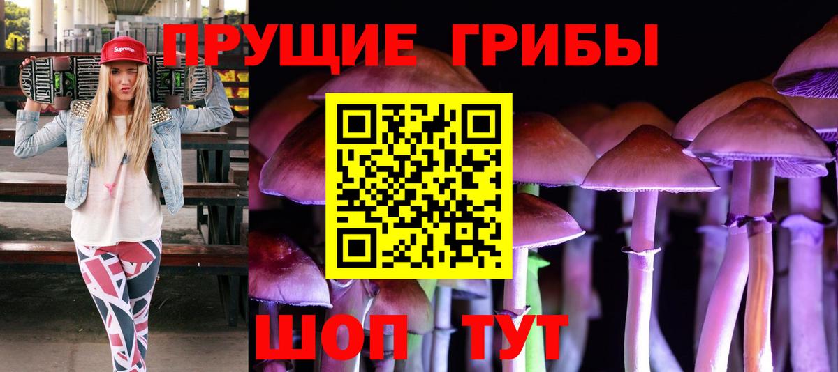 Галлюциногенные грибы Magic Shrooms Переславль-Залесский